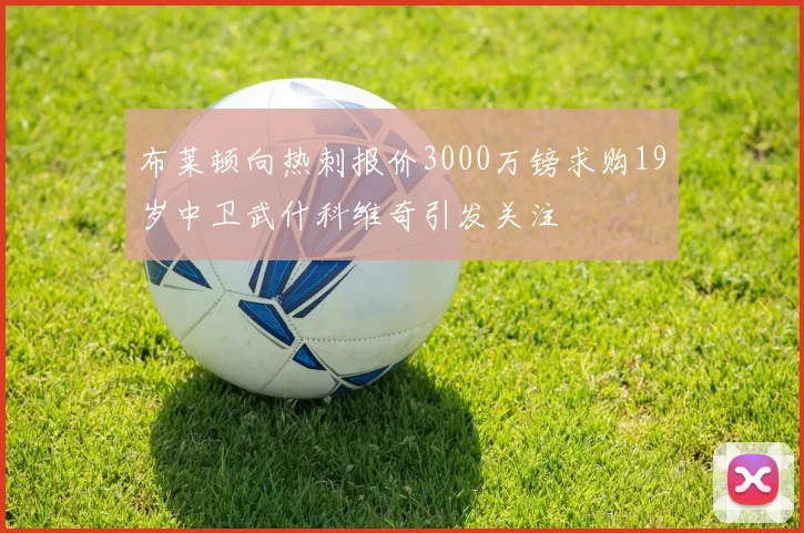 布莱顿向热刺报价3000万镑求购19岁中卫武什科维奇引发关注